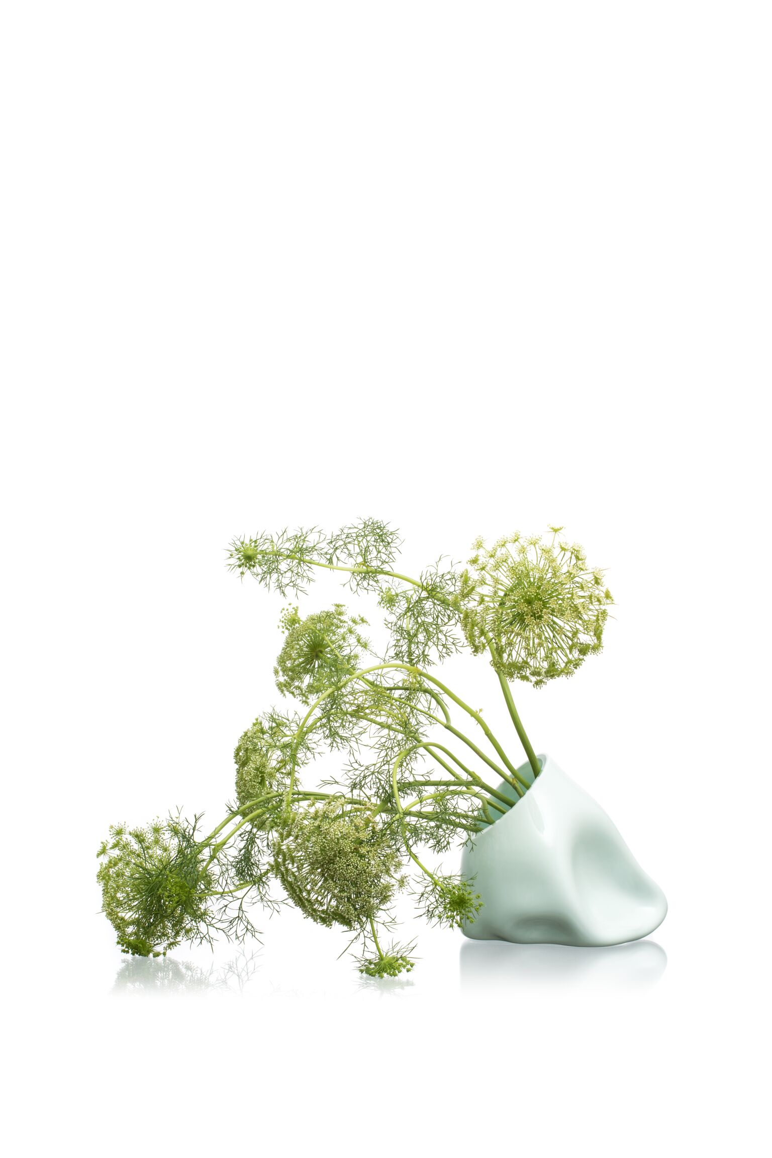 Biela sklenená váza s kvetmi odfotená na bielom pozadí.